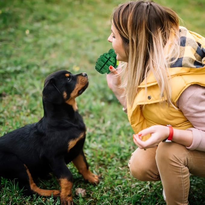 Military-Style Grenade Dog Chew Toy – Perfect for Strong Chewers & Treat Play