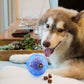 Interactive Dog Treat Dispenser Ball – Chew Toy & Slow Feeder