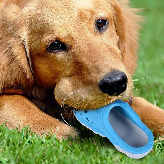 Interactive Shoe Chew Toy for pETS – Fun & Durable Design